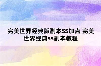 完美世界经典版副本SS加点 完美世界经典ss副本教程